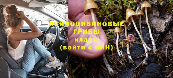 apvp Алзамай
