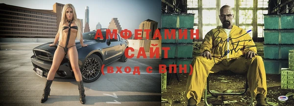 apvp Алзамай