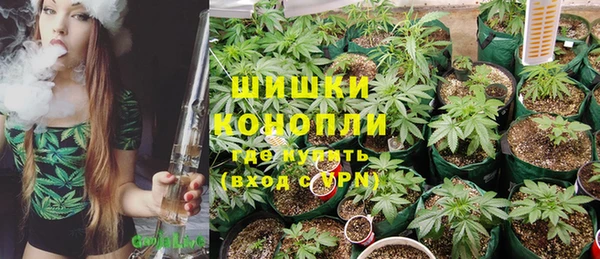 apvp Алзамай