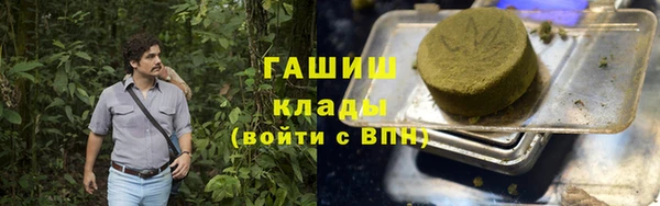 apvp Алзамай