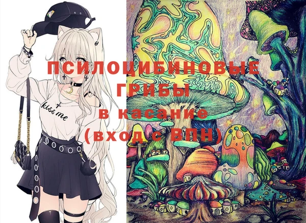 a pvp Алексин
