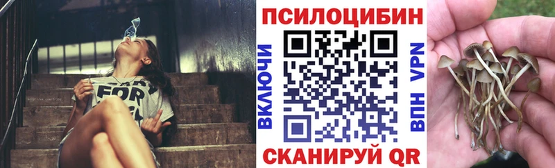 Галлюциногенные грибы MAGIC MUSHROOMS  нарко площадка какой сайт  Рошаль 